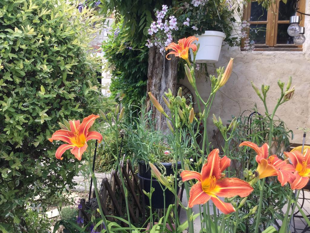 Le Clos De Fernande Corcelles-les-Arts Exteriör bild